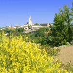 Salvagnac / © Comité Départemental du Tourisme du Tarn