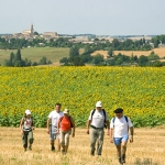 Salvagnac / © Comité Départemental du Tourisme du Tarn